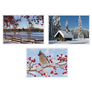 Hoffmaster Winter Multipack Printed Design Placemat, 10 x 14 inch - 1000 per case.
