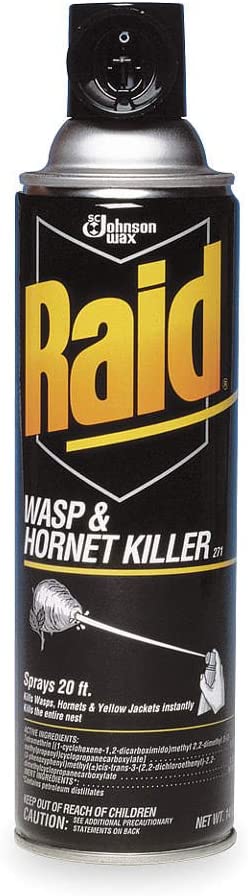 Raid Wasp & Hornet 14OZ 12 Pack
