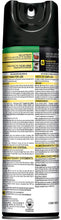 Load image into Gallery viewer, Black Flag Ant and Roach Killer Aerosol Spray, Spring Fresh Scented, 17.5-Ounce