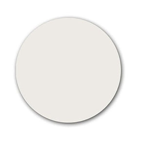 RENU DISK FILTER - 15 3/4" No Hole