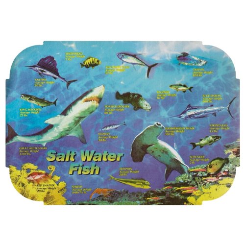 Hoffmaster 901-ECO52 Dollarwise Salt Water Fish Printed Outdoor Placemat 9.75 x 14 inch, Printed on Recycled Paper - 1000 per case.