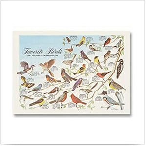 Hoffmaster 901-ECO73 Dollarwise Favorite Birds Printed Outdoor Placemat 10 x 14 inch, Printed on Recycled Paper - 1000 per case.