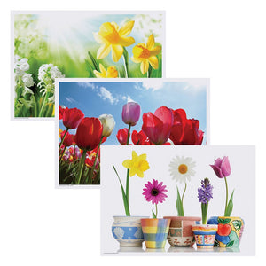 Hoffmaster 702076 Placemat Multipack, 3 Designs, 14" Length x 10" Width, Spring (Case of 1000)