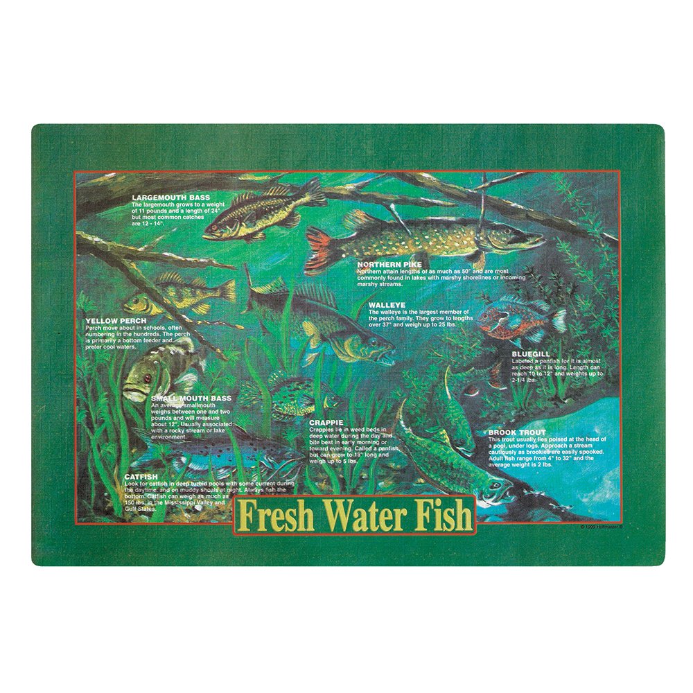 Hoffmaster 310979 Paper Placemat, Fresh Water Fish Print, 9 3/4